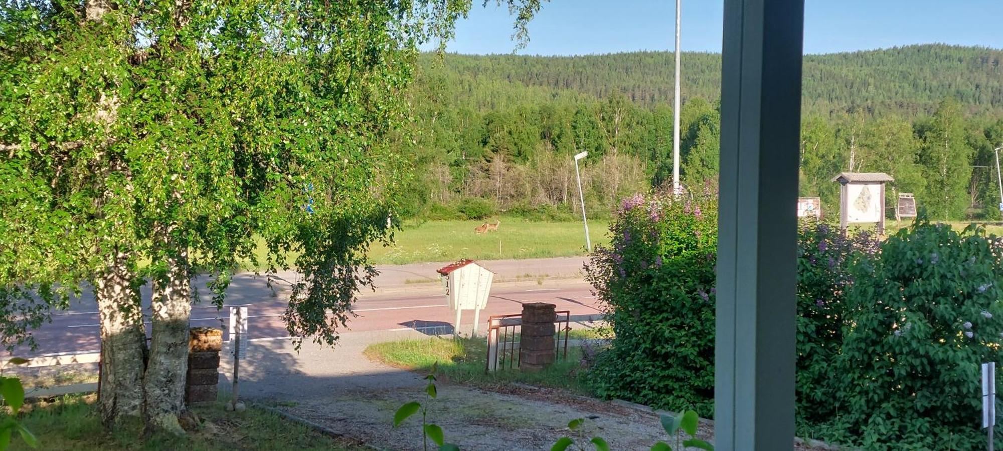 Guestrooms At Forest Family Home Ytterhogdal Extérieur photo